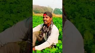 एक दिन ऐसा ना गया मैंने 💘🌹❤️🙋song trending reels viral shorts youtuber youtube [upl. by Tireb]