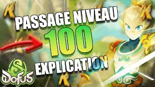 PASSAGE NIVEAU 100  Je vous dis tout  Explications Guide Dofus 30 [upl. by Straub]