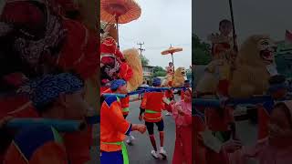 Sisingaan Budaya Subang shorts shortvideo buahngora jaipong [upl. by Yelak]