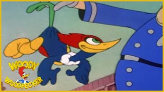 Woody Woodpecker  The Screwball  Old Cartoons  Woody Woodpecker Full Episodes  Videos for Kids [upl. by Klina]