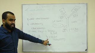 BILIARY PATHOLOGY CHOLELITHIASIS VS CHOLECYSTITIS VS CHOLEDOCHOLITHIASIS VS CHOLANGITIS [upl. by Iatnohs]