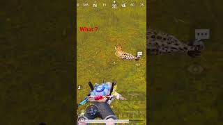 What music pubgmobile bag cardinal shorts videos reels [upl. by Shela]