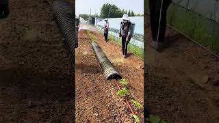 Herbicide spraying process [upl. by Anetsirk]