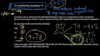 Euthyroid Sick Syndrome the Essential USMLE Thyroid Lecture part 2 [upl. by Renell]