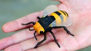 GIGANTIC WASP [upl. by Anohr]