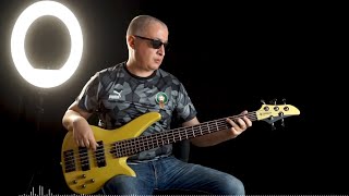 Metallica  For whom the bell tolls bass cover [upl. by Wiese]