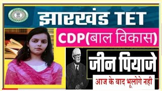 JTET SPECIAL CLASS 2024  Jean piaget theory cognitive developmentJTET syllabus [upl. by Hanikahs]