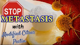 Stop Metastasis with Modified Citrus Pectin [upl. by Rosol]