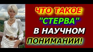 Что Такое Стерва В Научном Понимании [upl. by Tnarb]