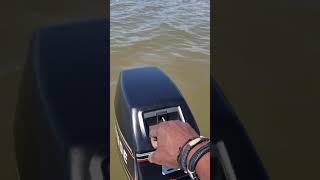 93 Evinrude 6hp First Run [upl. by Eigriv]