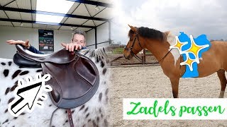 Zadelpassen met Olympus en NIEUW zadel voor Marley  felinehoi VLOG 181 [upl. by Nylevol]