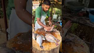 World Best Tilapia Fish Cutting Skils in Sri Lanka fishcooking tilapiafillet [upl. by Lothar]