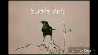 Mars Argo  Suicide Birds with Lyrics [upl. by Siron]