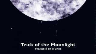 Gareth Dunlop  Trick of the Moonlight lyrics [upl. by Niro]