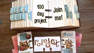 My plan for the 100 day project [upl. by Sarajane996]