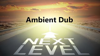 Ambient Dub  Next Level [upl. by Nibla]