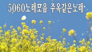 5060노래모음 주옥같은노래 🌺 아련한 옛사랑이 떠오르는 5060 추억의 명곡들 Korean songs [upl. by Viens733]