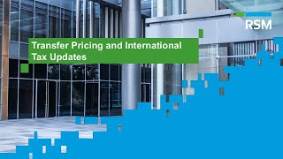 RSM Indonesia Webinar  Transfer Pricing and International Tax Updates [upl. by Uase655]