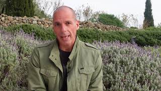 Yanis Varoufakis on why DiEM25s Green New Deal for Europe is the Real Deal  DiEM25 [upl. by Armalla629]