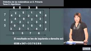 Didáctica de las Matemáticas en Primaria Métodos alternativos para multiplicar  UNIReducación [upl. by Nivri]