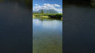 More Stikine river jet boating [upl. by Ziwot]