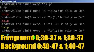 BASH scripting lesson 9 using colors with echo [upl. by Arbmat]