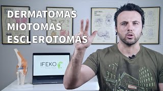 DERMATOMAS MIOTOMAS y ESCLEROTOMAS Según el Glosario de Términos Osteopáticos de 2017 [upl. by Copp]