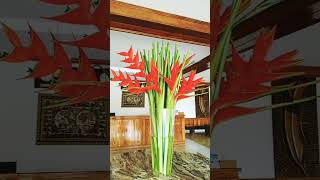 Heliconia red plant nature lovers shortvlog [upl. by Gorlicki]