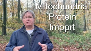 Organelles Targeting Proteins to the Mitochondria [upl. by Tila693]