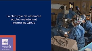 La chirurgie de cataracte équine maintenant offerte au CHUV [upl. by Ahcim663]