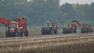 MB Trac 1500 in aardappeltransport bij Loonbedrijf Stevens Wildervank Grimme Trekkerweb [upl. by Kilan390]