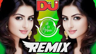 Dj Song💙  Top Dj  Hard Bass ❤️‍🔥  JBL Dj Remix  Old Hindi Dj Song 🥀  Dj Remix 2024 [upl. by Akemed765]