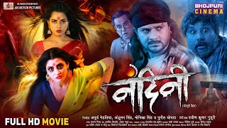 Full Movie  Nandini  नंदिनी   Gaurav Jha Sanchita Banerjee Richa Dixit  New Bhojpuri Film [upl. by Dubenko892]