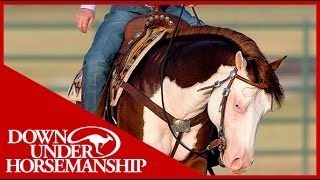 Clinton Anderson Presents Titan a Legend in the Making Lesson 5 Part 3  Downunder Horsemanship [upl. by Leraj]