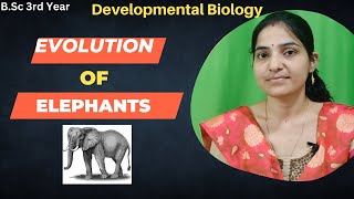 Evolution Of Elephants bsc 3rd yearelephants elephantevolutionevolutiontheelephants [upl. by Sim]