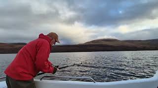 Loch Linnhe flat fish fest [upl. by Perle]