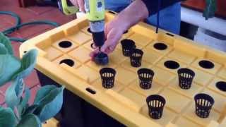 Hydroponics Using Compost Tea experiment [upl. by Kimmi]