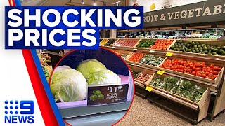 Iceberg lettuce sells for 12 in Queensland grocery store  9 News Australia [upl. by Gun]