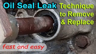 Remove Leak Shift shaft Oil Seal Easy using Screw  Replace STX motorcycle leak oil seal  technique [upl. by Tnek813]