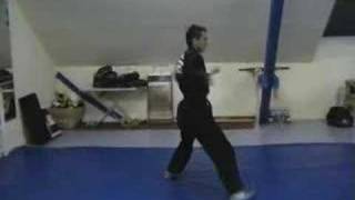 Shaolin Kempo 2 Kata [upl. by Weingarten]