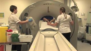 Having A CT Scan  Learning Disabilities Version [upl. by Naesed]