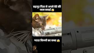 amazingfacts factsinhindi dog animals knowledge movie dogs dogvideo cartoon [upl. by Ahtnamas]