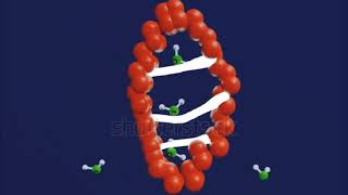 Western blot [upl. by Marchelle]