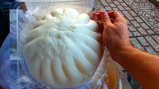 I Ate The Biggest Steamed Bun Banh Bao in Vietnam 🇻🇳 [upl. by Floss]