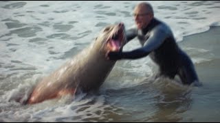 This Leopard Seal Killed 5 People in 8 Minutes [upl. by Kirwin]