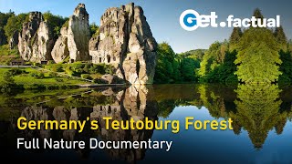 From Battleground to Oasis Germanys Teutoburg Forest  Forest of Heroes  Full Nature Documentary [upl. by Ahusoj134]