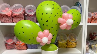 Cómo hacer nopales con globos cactus nopales globos balloons gabystips tutorial mexico [upl. by Charlton815]