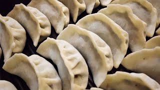 Pork amp Chive Dumplings Easy Homemade Recipe  Chinese Food  韭菜猪肉 饺子 做法 [upl. by Eiliah]