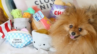 DOG TOY HAUL WITH MY PUPPIES BARKBOX BARKSHOP HAUL [upl. by Aneehsor]