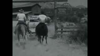 Borden Dairy Company  Ice Cream  Take A Ride With Borden  Vintage Commercial  1950s  1960s [upl. by Brunhilda516]